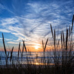 Sunset,On,Atlantic,Ocean,,Beach,Grass,Silhouette,In,Lacanau,France