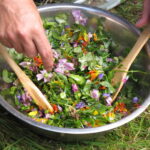Fika-FRANCE-secret des plantes-prépartion salade sauvage@ALUNA